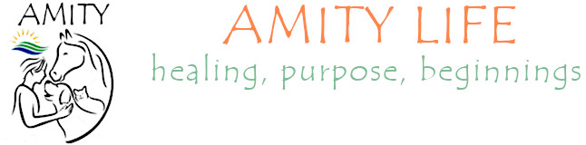 Amity life healing purpose new beginnings